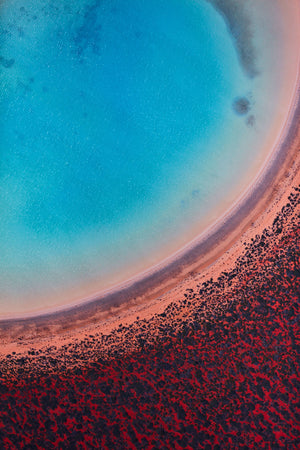 Lagoon, Shark Bay, Vertical Print