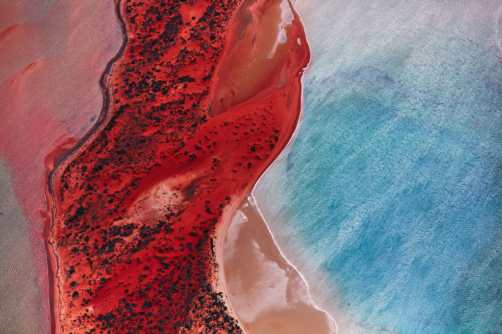 Reflections, Shark Bay, Horizontal Print