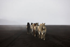 Highlands, Iceland, Horizontal Print