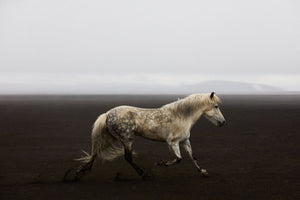 Solo, Iceland, Horizontal Print