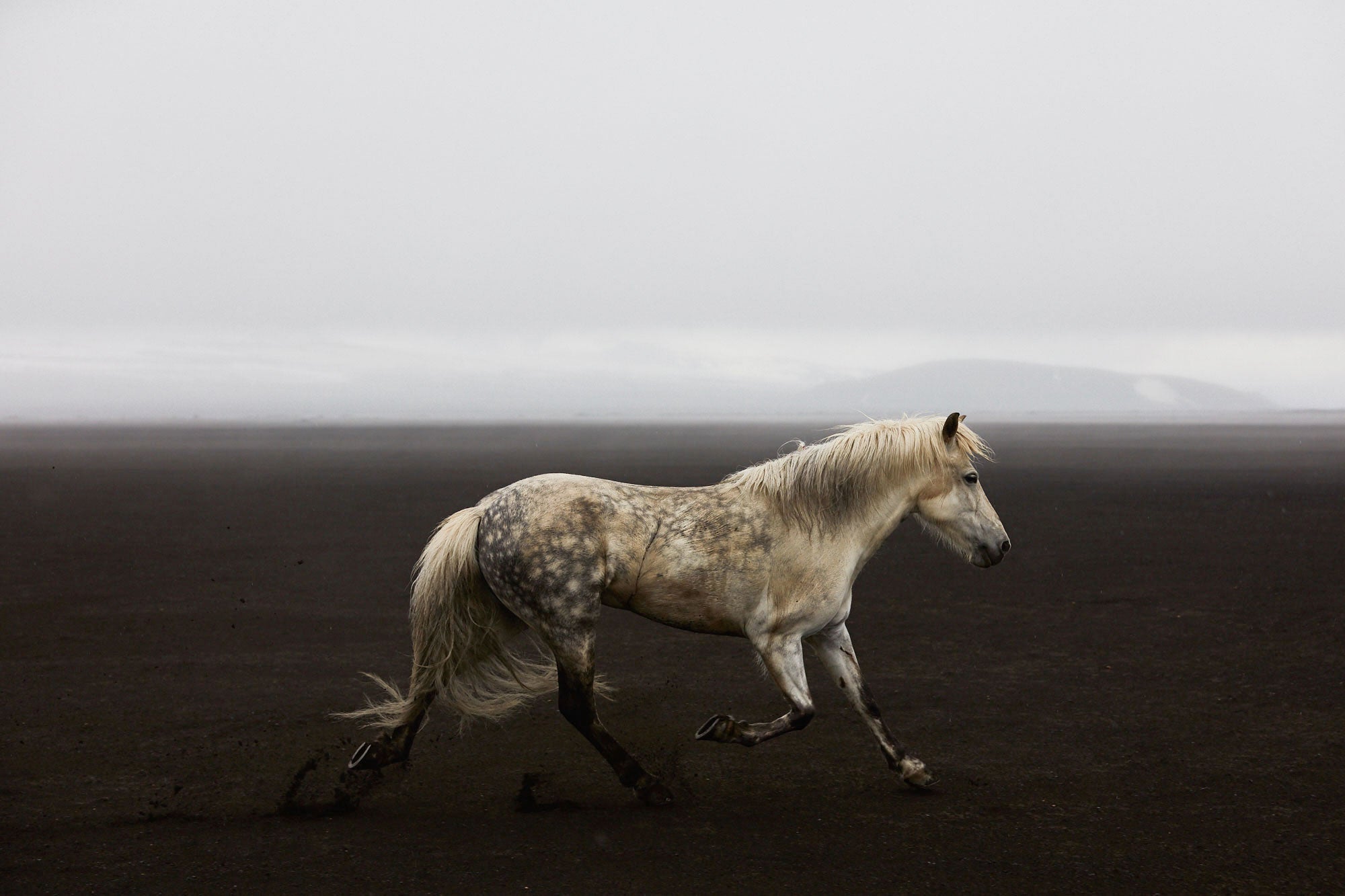 Solo, Iceland, Horizontal Print