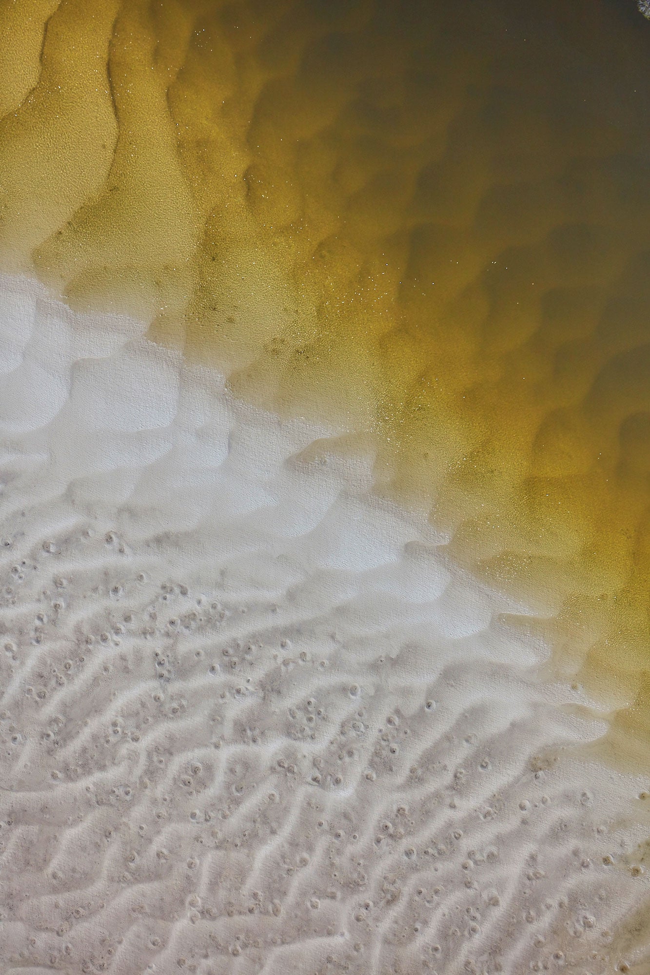 Scales, Whitehaven Beach, Vertical Print