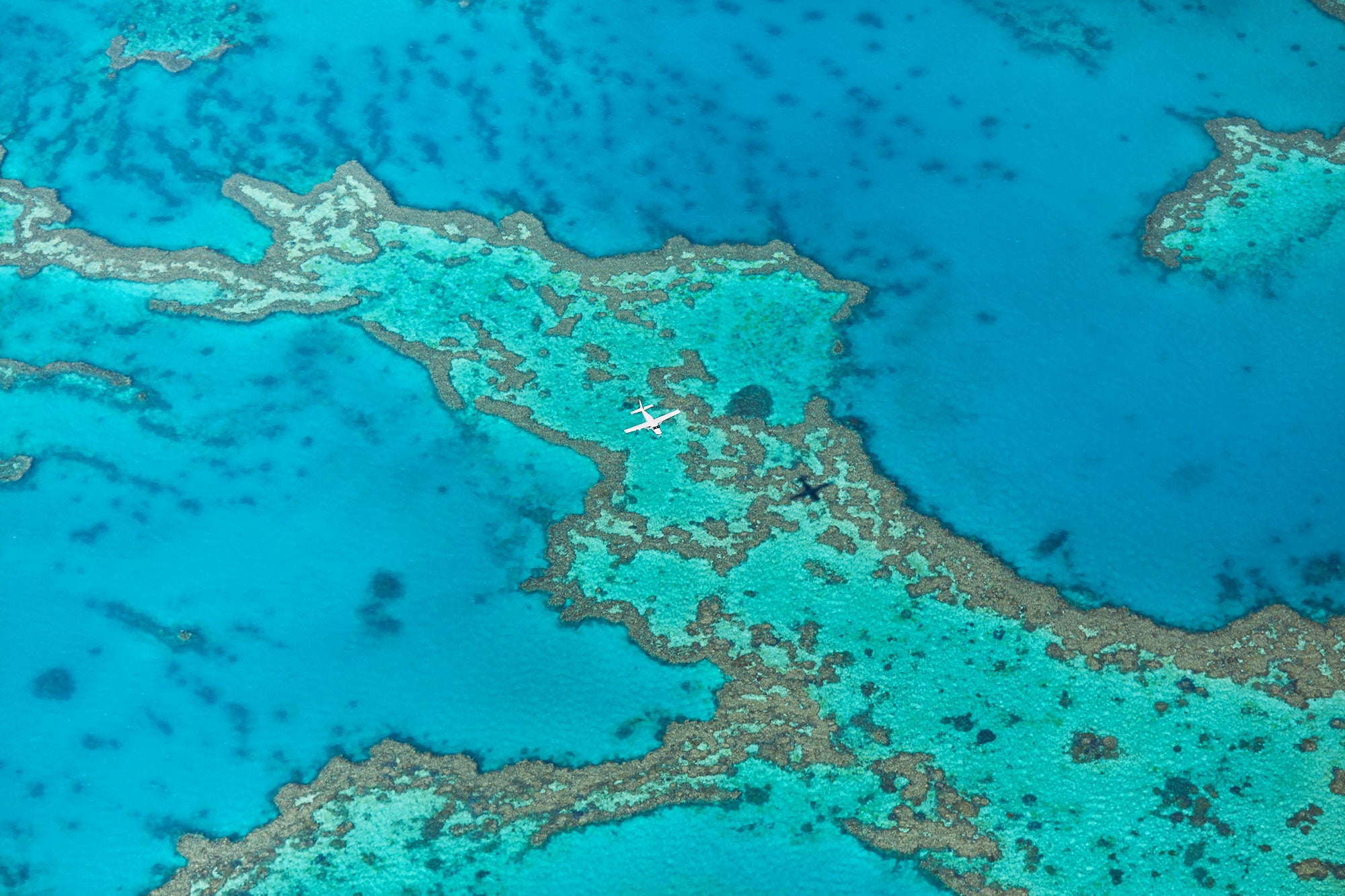 Escape, Great Barrier Reef, Horizontal Print