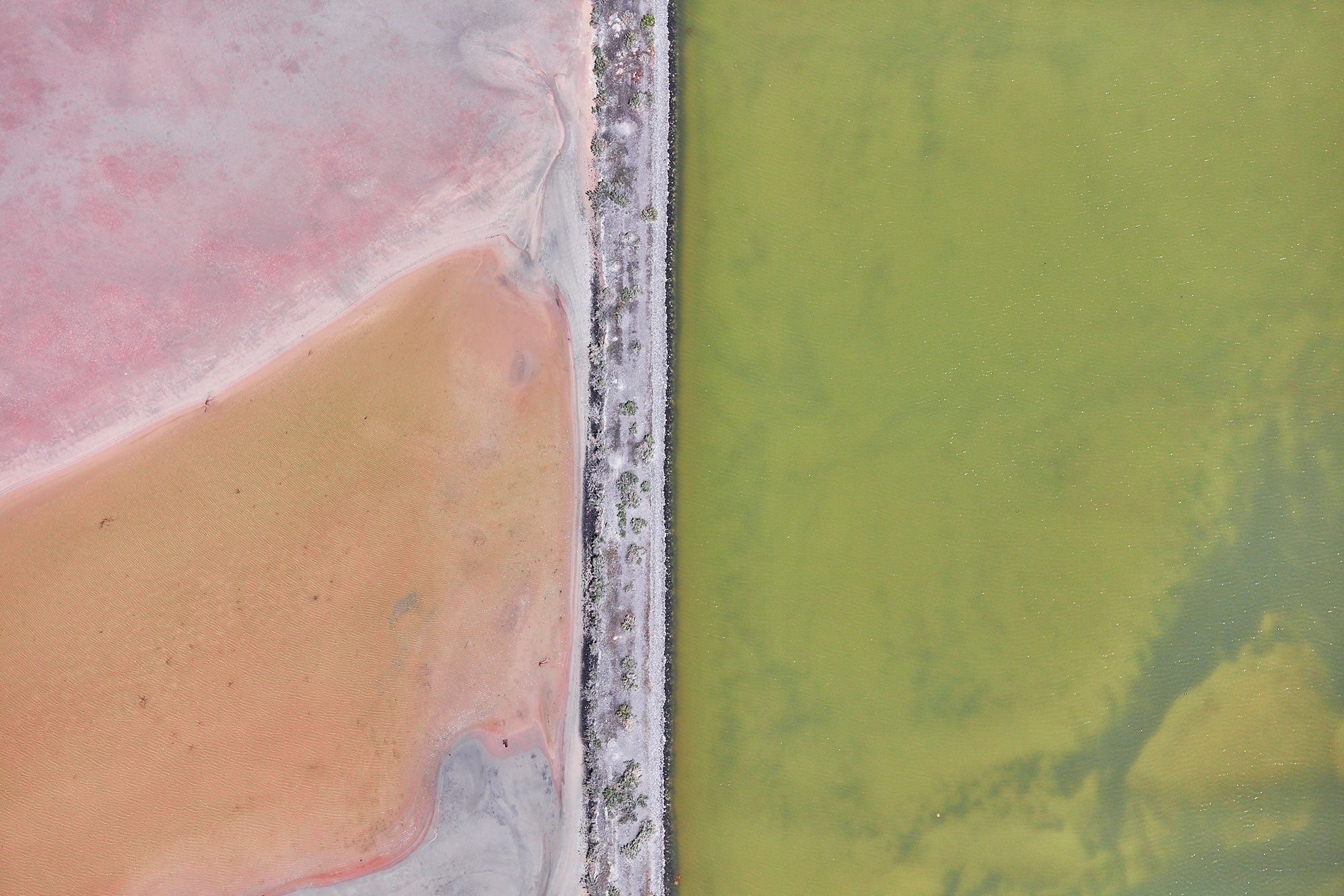 Colour Palette, Great Salt Lake, Horizontal Print