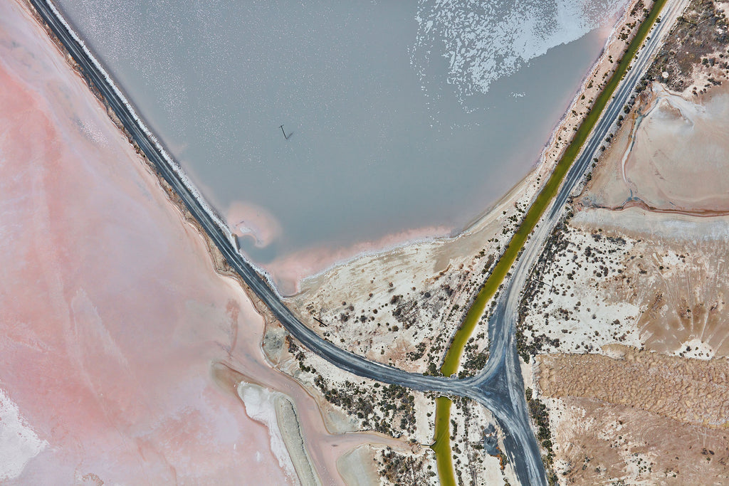 Flamingo, Great Salt Lake, Horizontal Print