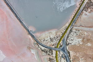 Flamingo, Great Salt Lake, Horizontal Print