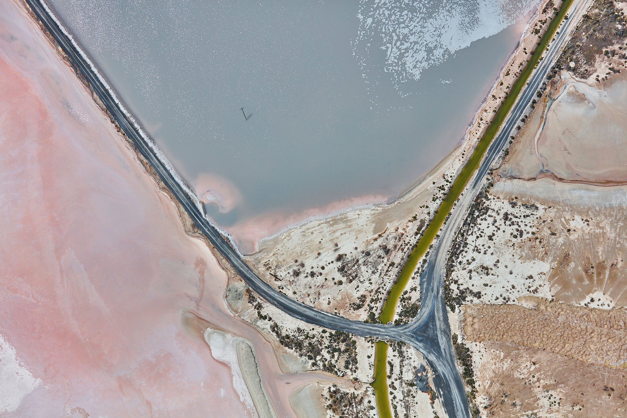 Flamingo, Great Salt Lake, Horizontal Print