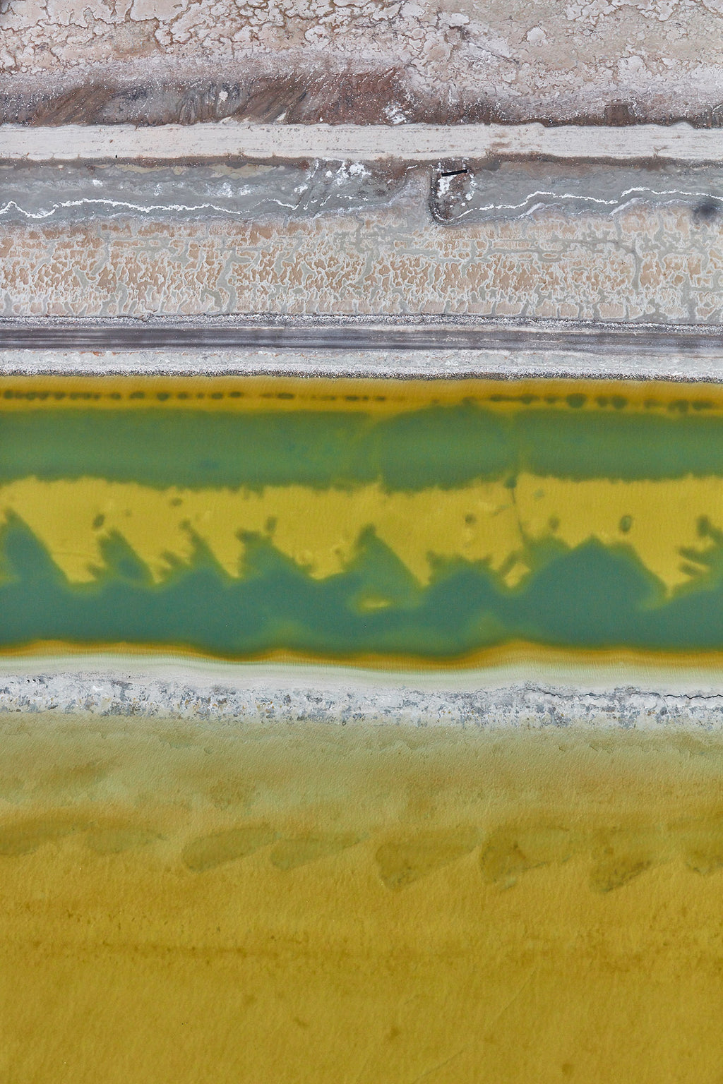 Brine, Great Salt Lake, Portrait Print