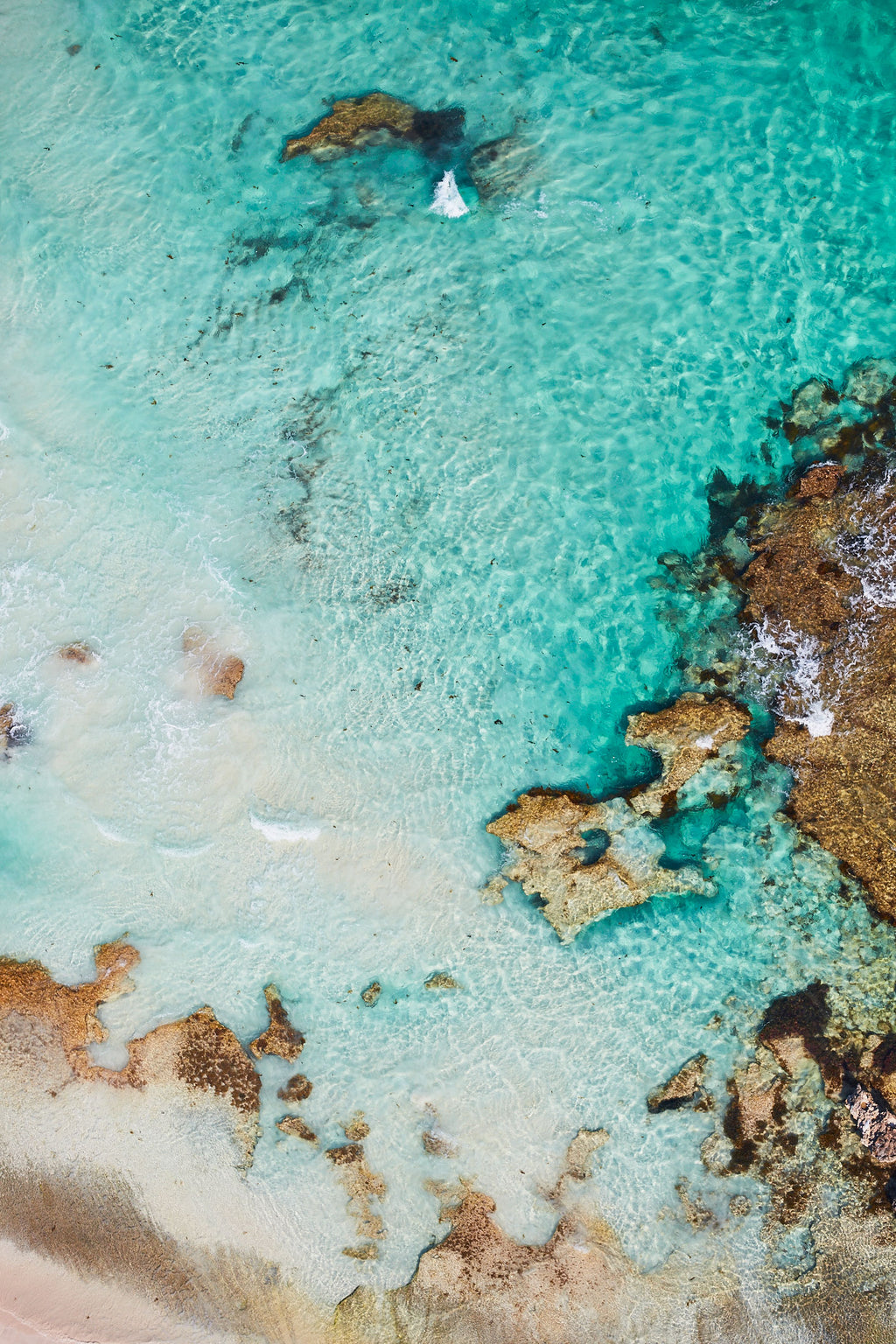 Sun Bleached, Rottnest Island, WA, Vertical Print