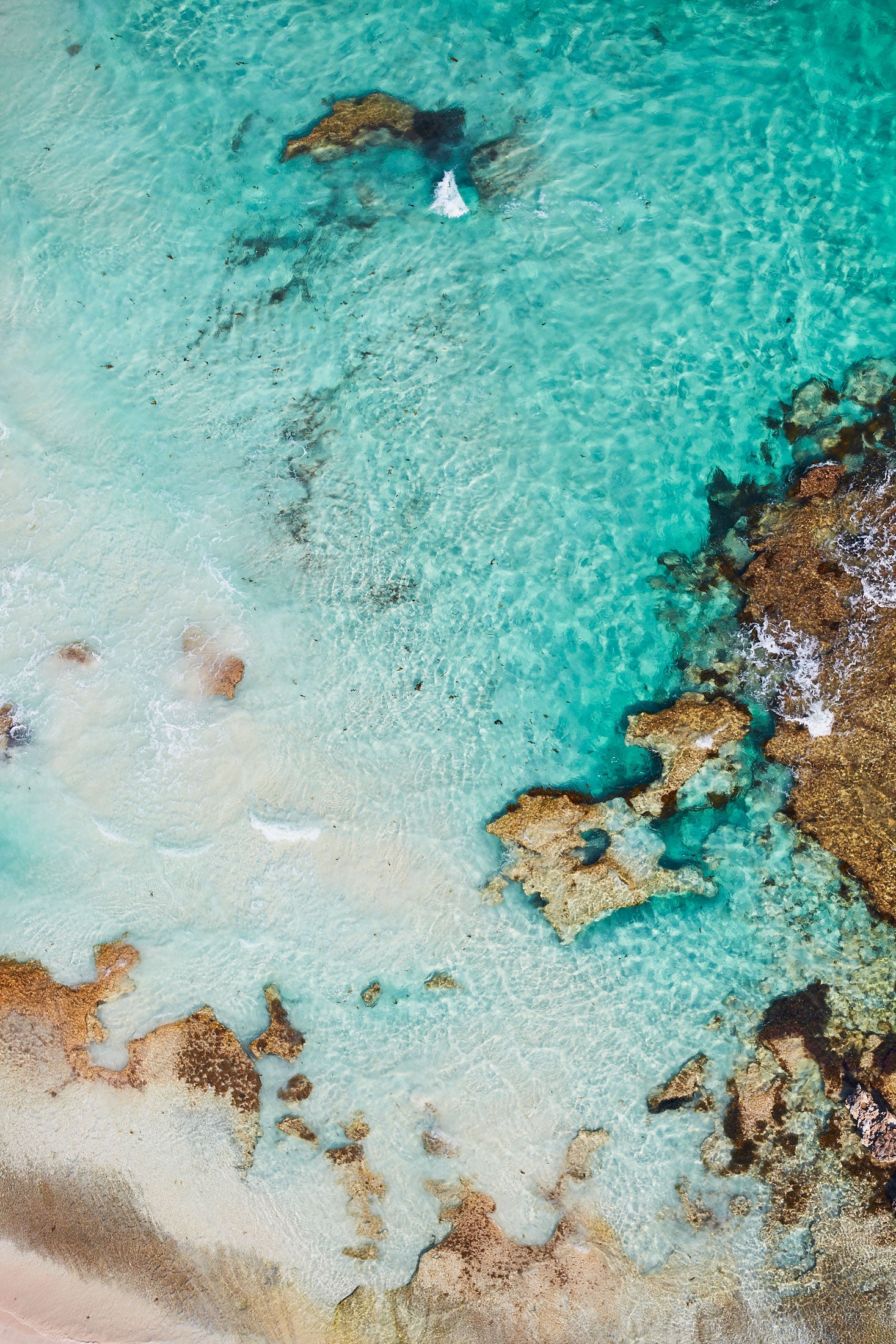 Sun Bleached, Rottnest Island, WA, Vertical Print