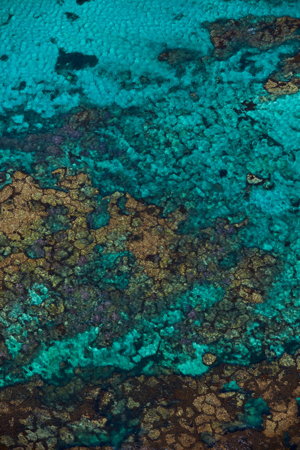 Rotto Reef, Rottnest Island, WA, Vertical Print
