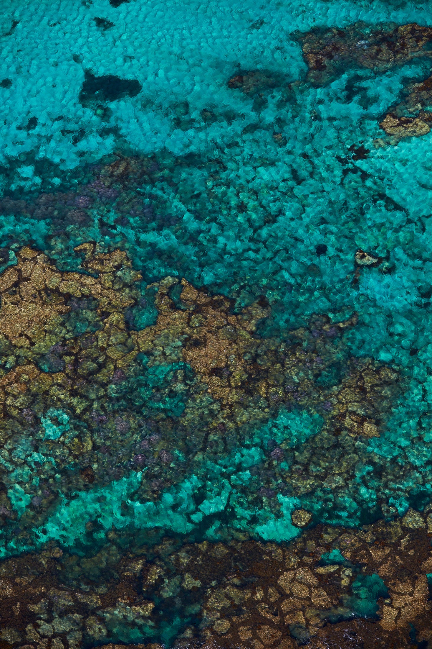 Rotto Reef, Rottnest Island, WA, Vertical Print