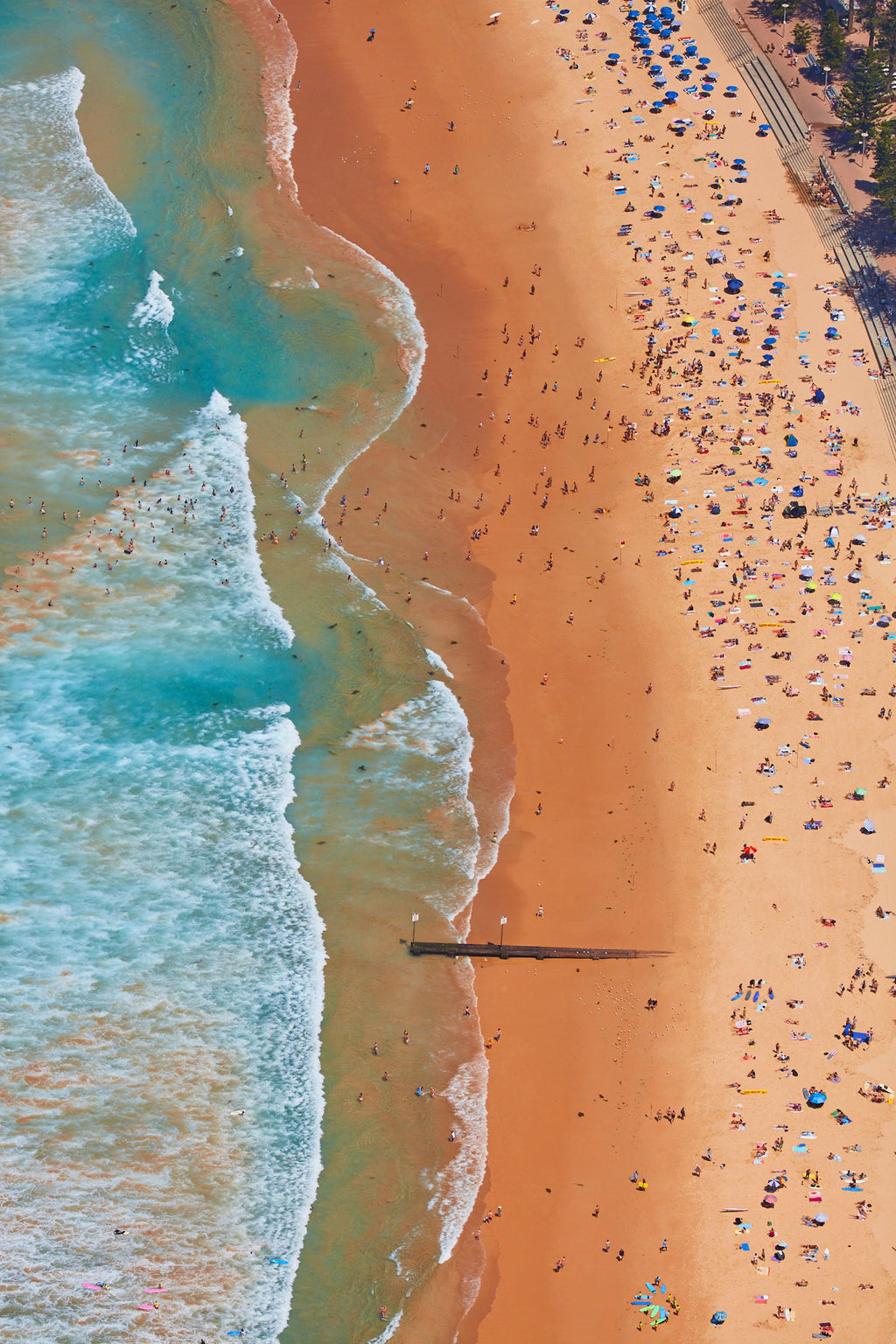 Manly Beach, Vertical Print