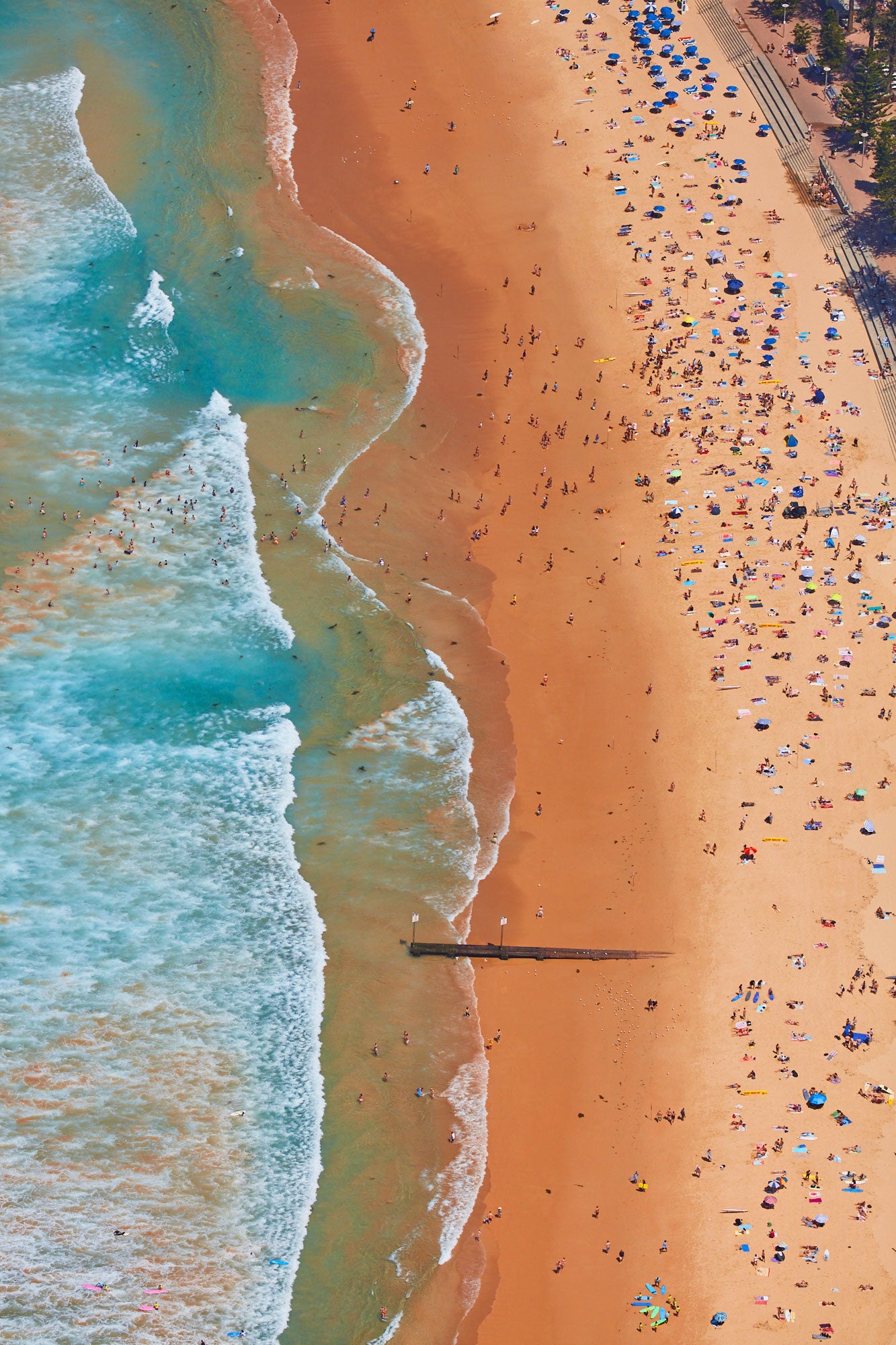 Manly Beach, Vertical Print