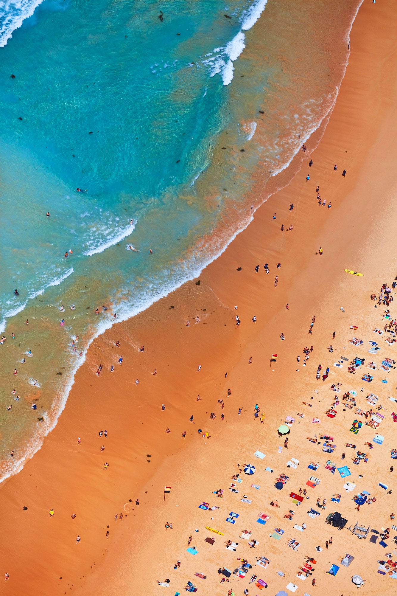 Manly Coastline, Vertical Print