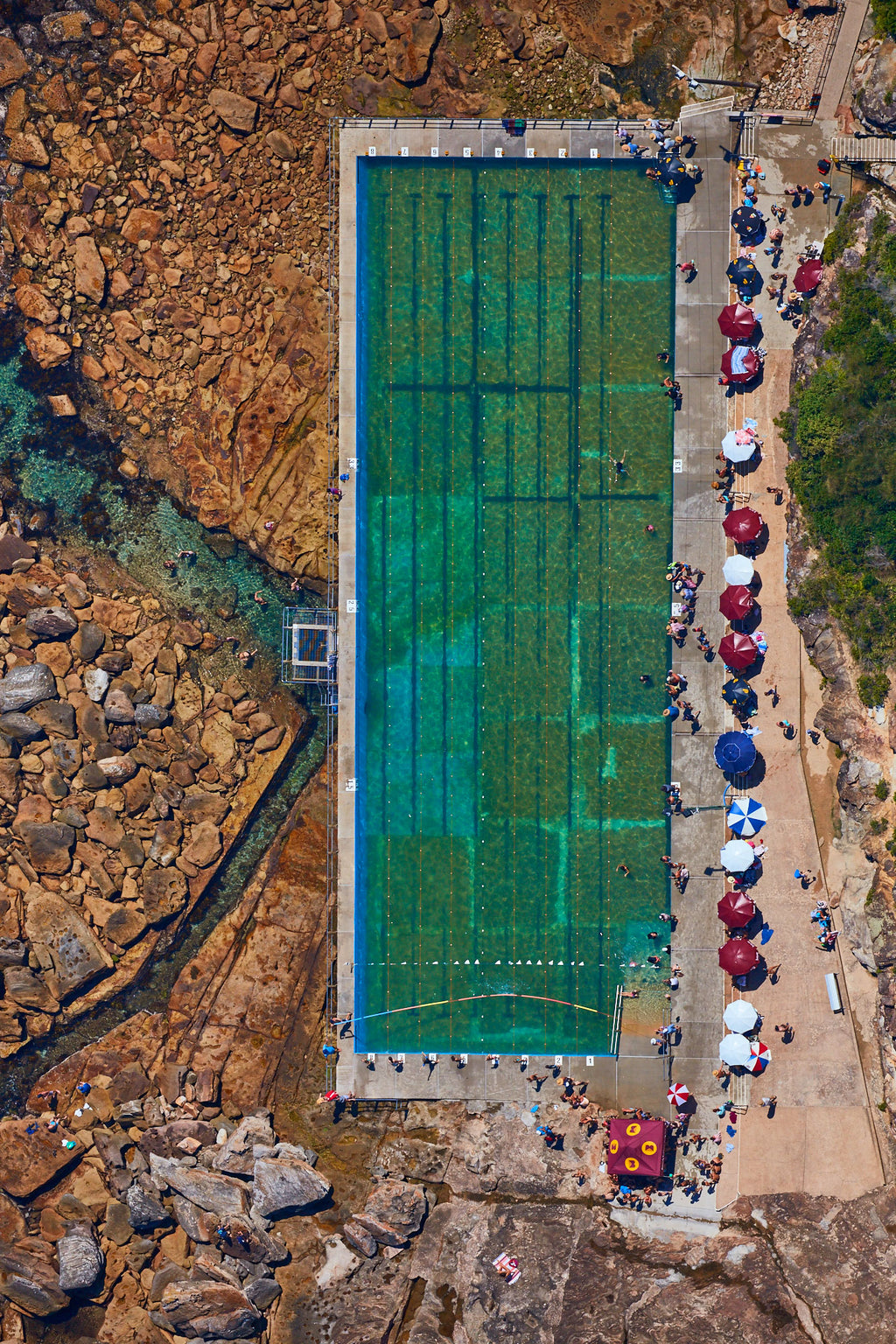 Freshwater Pool, Vertical Print