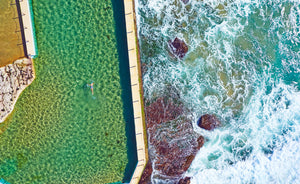 Early Morning Swim, Horizontal Print