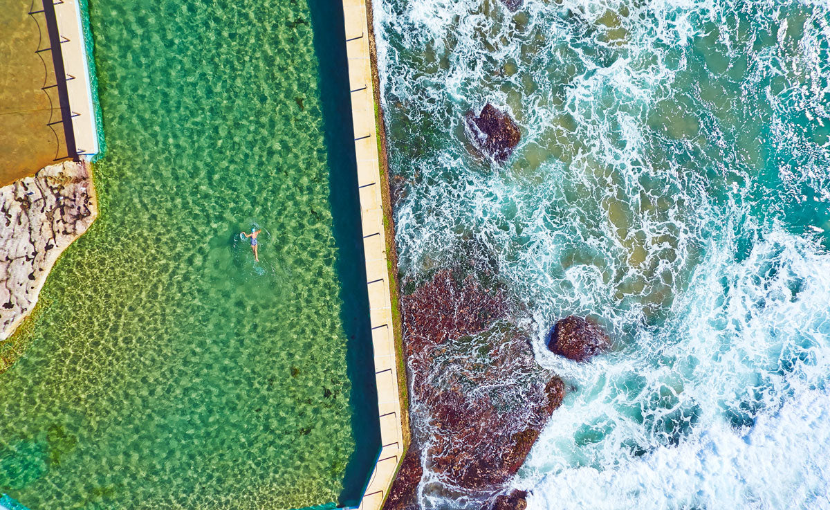 Early Morning Swim, Horizontal Print